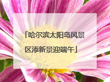 哈尔滨太阳岛风景区添新景迎端午