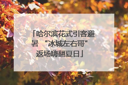 哈尔滨花式引客避暑 “冰城左右哥”返场嗨翻夏日