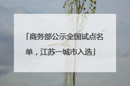 商务部公示全国试点名单，江苏一城市入选