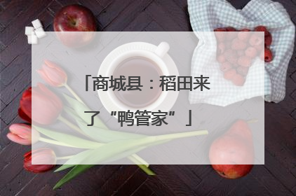 商城县：稻田来了“鸭管家”