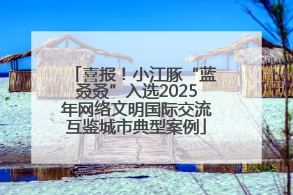 喜报！小江豚“蓝叒叒”入选2025年网络文明国际交流互鉴城市典型案例