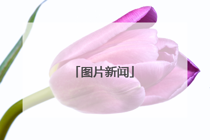 图片新闻