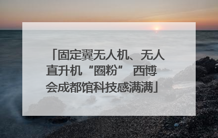 固定翼无人机、无人直升机“圈粉” 西博会成都馆科技感满满
