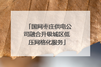 国网枣庄供电公司融合升级城区低压网格化服务
