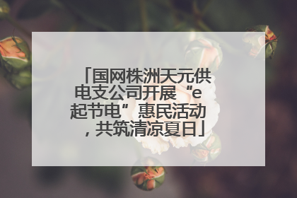 国网株洲天元供电支公司开展“e起节电”惠民活动，共筑清凉夏日