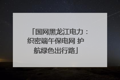 国网黑龙江电力：织密端午保电网 护航绿色出行路