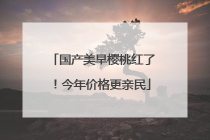 国产美早樱桃红了！今年价格更亲民