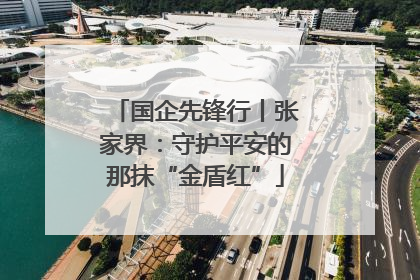 国企先锋行丨张家界：守护平安的那抹“金盾红”