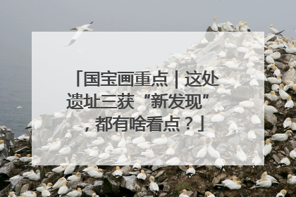 国宝画重点｜这处遗址三获“新发现”，都有啥看点？
