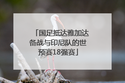 国足抵达雅加达备战与印尼队的世预赛18强赛