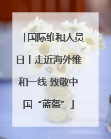 国际维和人员日丨走近海外维和一线 致敬中国“蓝盔”