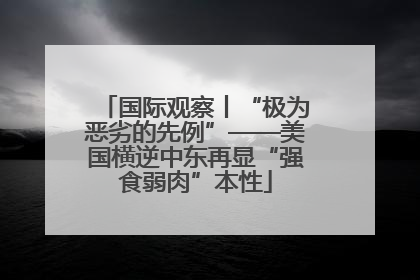 国际观察丨“极为恶劣的先例”——美国横逆中东再显“强食弱肉”本性