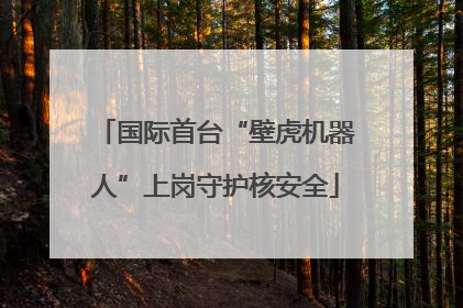 国际首台“壁虎机器人”上岗守护核安全