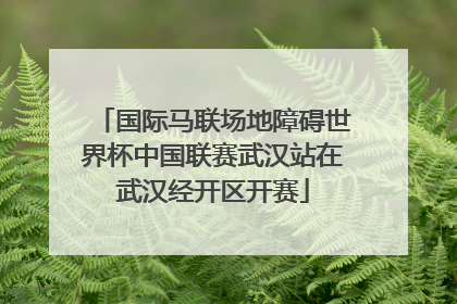 国际马联场地障碍世界杯中国联赛武汉站在武汉经开区开赛