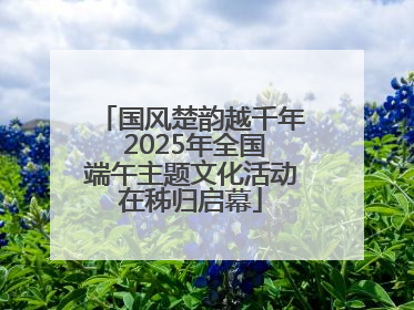 国风楚韵越千年 2025年全国端午主题文化活动在秭归启幕