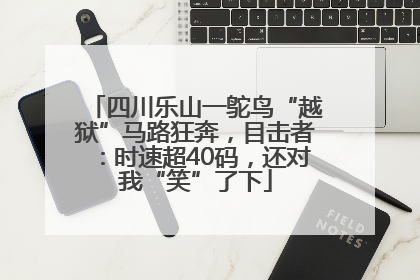 四川乐山一鸵鸟“越狱”马路狂奔，目击者：时速超40码，还对我“笑”了下