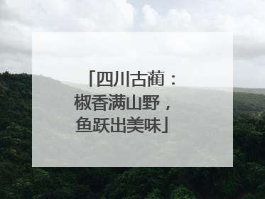 四川古蔺：椒香满山野，鱼跃出美味