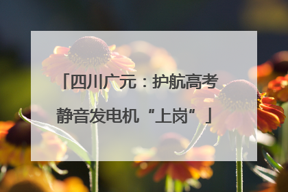 四川广元：护航高考 静音发电机“上岗”