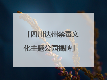 四川达州禁毒文化主题公园揭牌