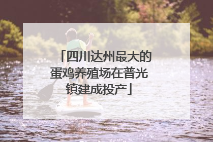四川达州最大的蛋鸡养殖场在普光镇建成投产