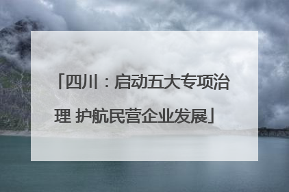 四川：启动五大专项治理 护航民营企业发展