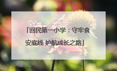 回民第一小学：守牢食安底线 护航成长之路