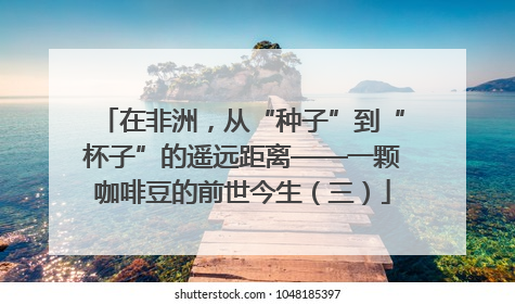 在非洲，从“种子”到“杯子”的遥远距离——一颗咖啡豆的前世今生（三）