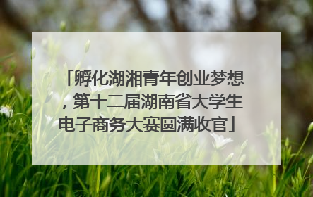 孵化湖湘青年创业梦想，第十二届湖南省大学生电子商务大赛圆满收官