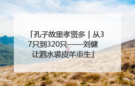 孔子故里孝贤多｜从37只到320只——刘健让泗水裘皮羊重生