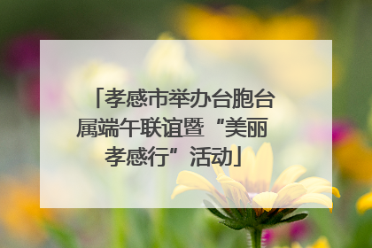 孝感市举办台胞台属端午联谊暨“美丽孝感行”活动