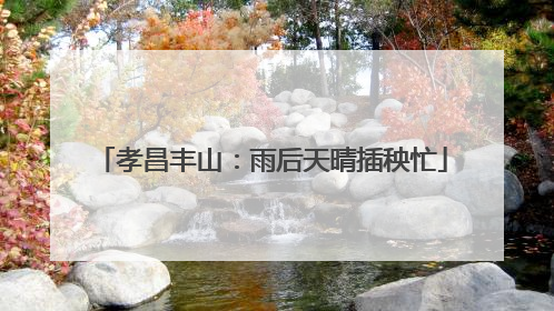 孝昌丰山：雨后天晴插秧忙