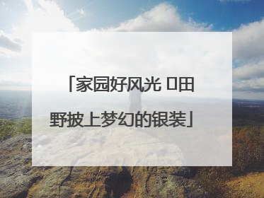 家园好风光 ⎮田野披上梦幻的银装