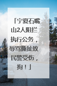 宁夏石嘴山2人阻拦执行公务，辱骂撕扯致民警受伤，拘！