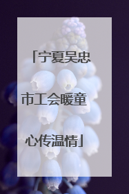 宁夏吴忠市工会暖童心传温情