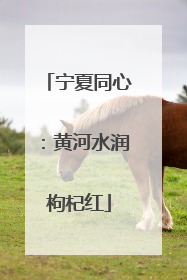 宁夏同心：黄河水润枸杞红