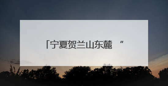 宁夏贺兰山东麓 “红酒+”激发新活力