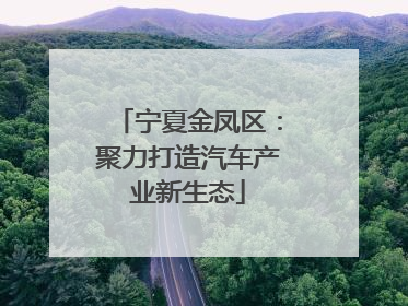 宁夏金凤区：聚力打造汽车产业新生态
