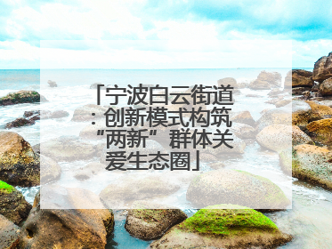 宁波白云街道：创新模式构筑“两新”群体关爱生态圈