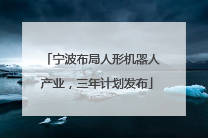 宁波布局人形机器人产业，三年计划发布