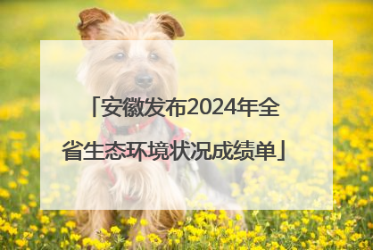 安徽发布2024年全省生态环境状况成绩单
