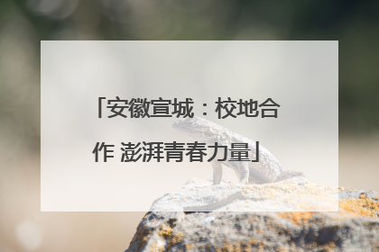 安徽宣城：校地合作 澎湃青春力量