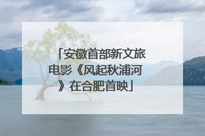 安徽首部新文旅电影《风起秋浦河》在合肥首映