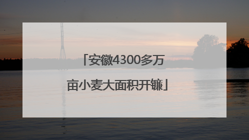 安徽4300多万亩小麦大面积开镰