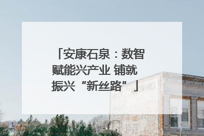 安康石泉：数智赋能兴产业 铺就振兴“新丝路”