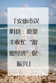 安康市汉阴县：夏果丰收忙“甜蜜经济”促振兴