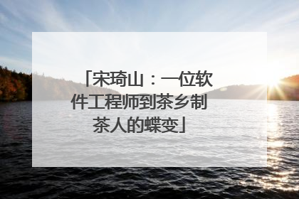 宋琦山：一位软件工程师到茶乡制茶人的蝶变