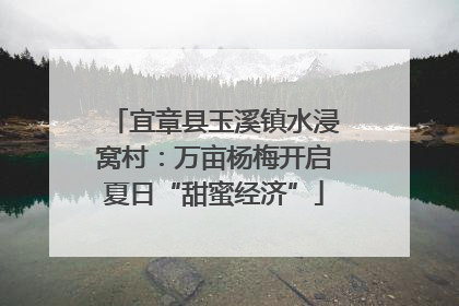 宜章县玉溪镇水浸窝村：万亩杨梅开启夏日“甜蜜经济”