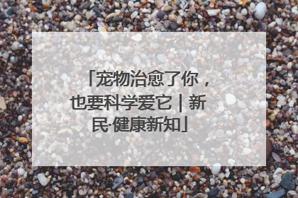 宠物治愈了你，也要科学爱它｜新民·健康新知