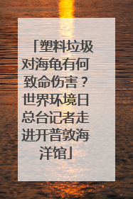 塑料垃圾对海龟有何致命伤害？世界环境日总台记者走进开普敦海洋馆
