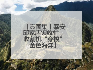 壹图集丨泰安邱家店镇收忙，收割机“穿梭”金色海洋